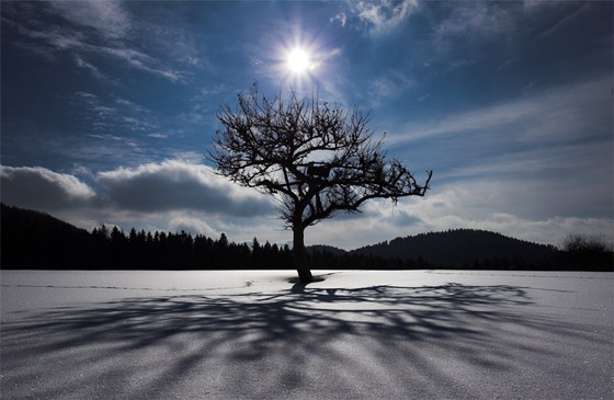 Фотоарт: природа