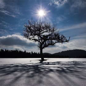 Фотоарт: природа